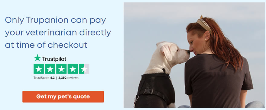 Only Trupanion can pay your veterinarian directly at time of checkout